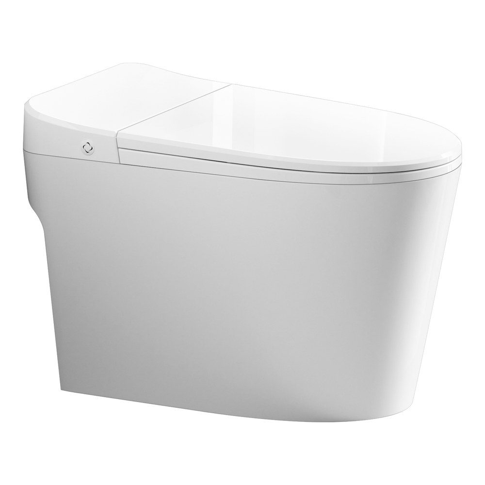 Assortment of ceramic toilet models for importer planning