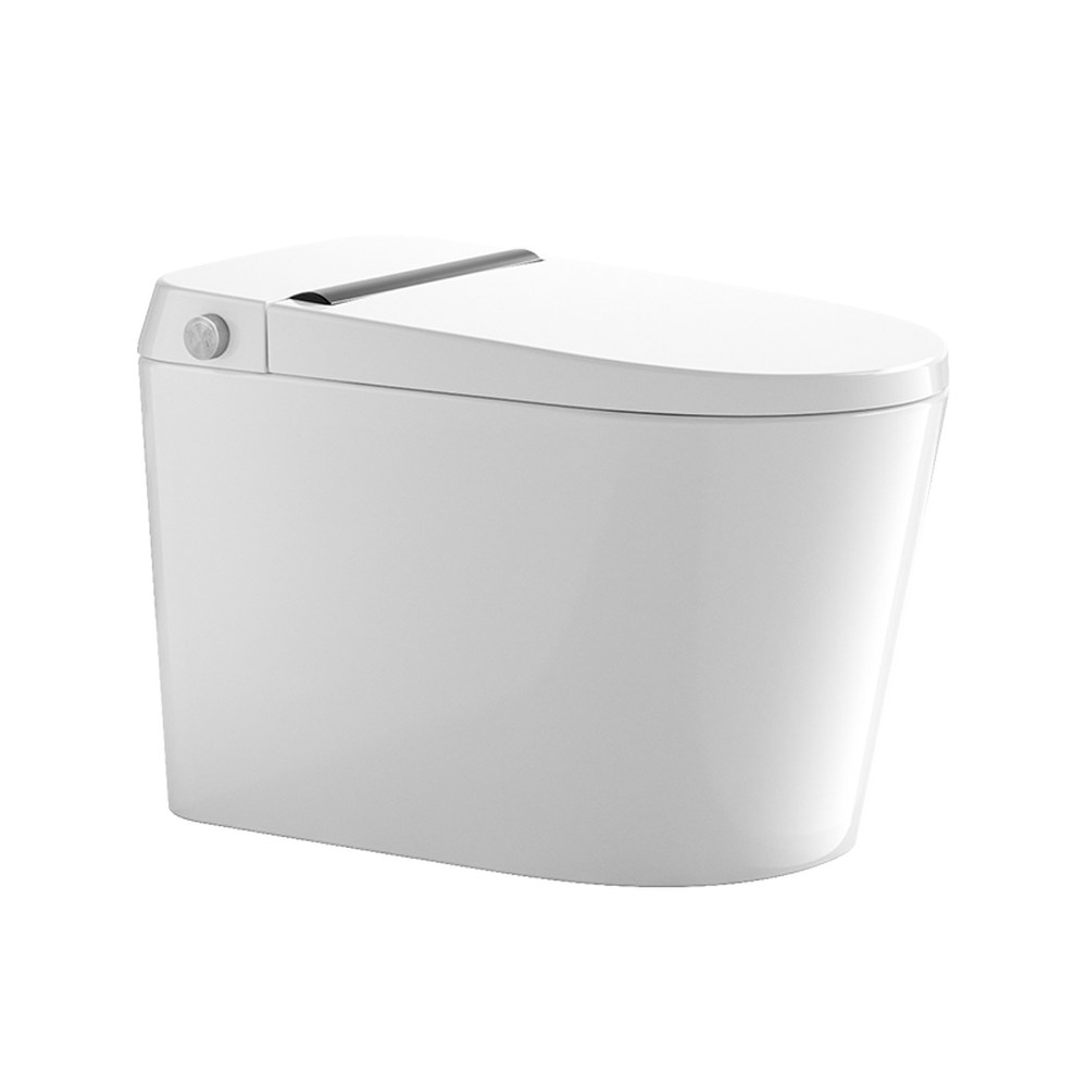 9248 toilet white background
